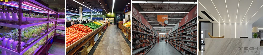 product-1000-210 product-1000-210