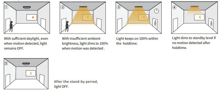 product-719-299 product-719-299